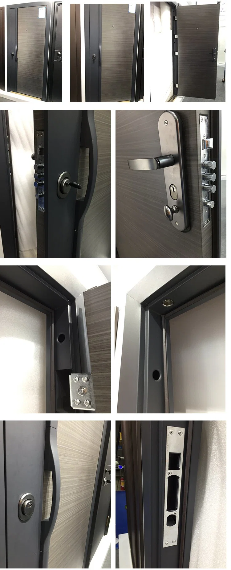Wholesale New Style Steel Entrance Door Residential Front with Aluminum Stripes