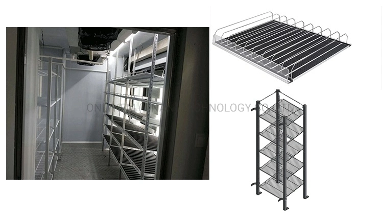 Display Walk in Cooler Room/ Freezer Room Cooler Glass Door