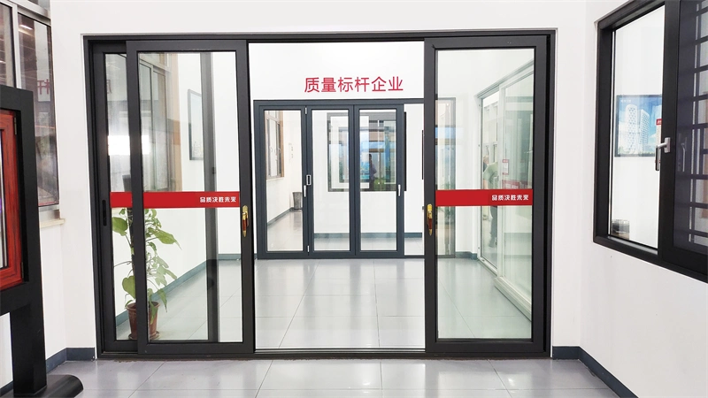 Modern Style Aluminium Narrow Frame Tempered Glass Casement Patio Doors for House