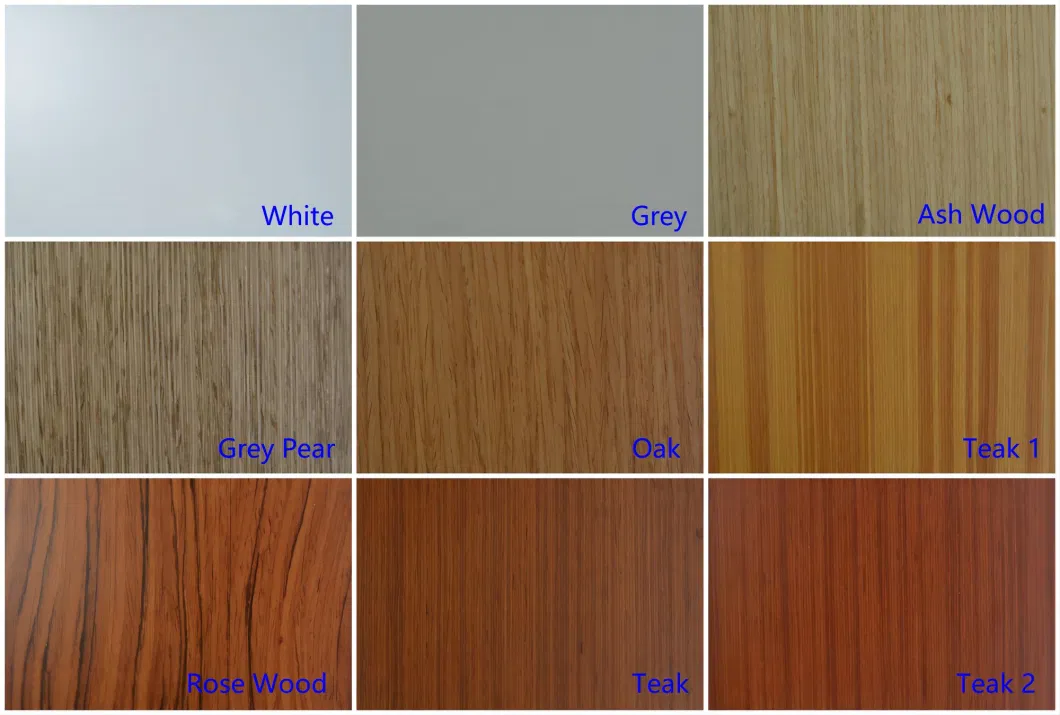Doors Design Good Service Residential Entrance Modern Pivot Exterior Front Wood Door