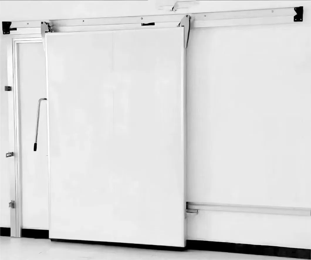 Negative Cold Storage Room Sliding Door, Walk-in Room for Seafood, Walk in Freezer