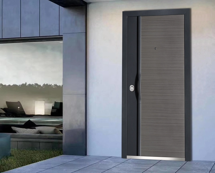 Wholesale New Style Steel Entrance Door Residential Front with Aluminum Stripes