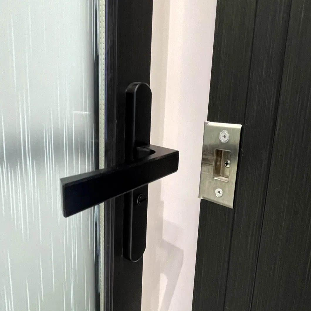 Aluminum 6063-T5 Glass Swing Doors for Internal House Hotel Door