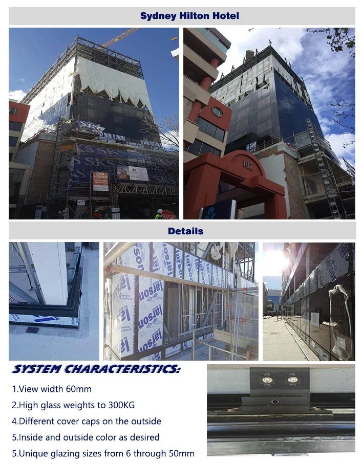 Hot Sale New Modern Design Best Price External Center Pivot Door