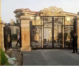 Home Villa Modern Decorative Exterior Wrought Iron Front Double Entry Doors Design China Manufacturers Suppliers