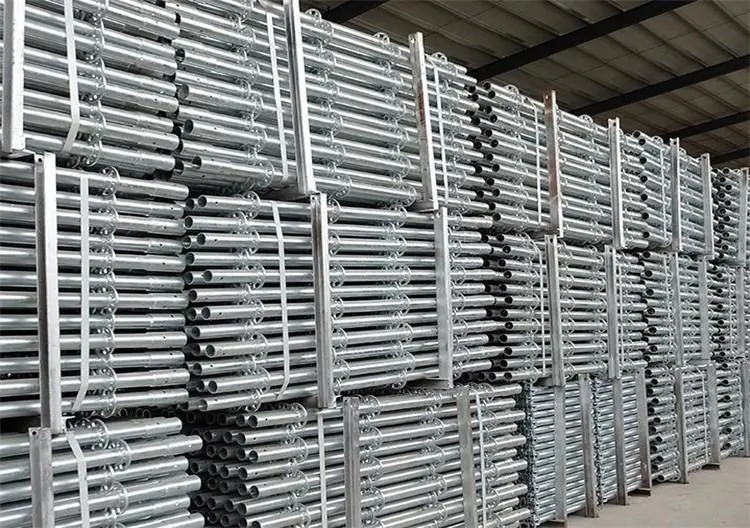 Scaffolding Putlog Coupler/Scaffold Coupler T Bolt in Wholesale Low Price