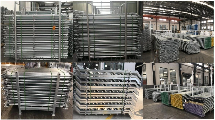 Floor Type Scaffolding Galvanized System Facade Scaffold in Future Guarden Building Construction