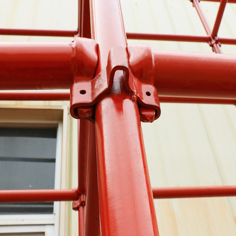 High Quality Construction Scaffolding Bucklelock Type for Building