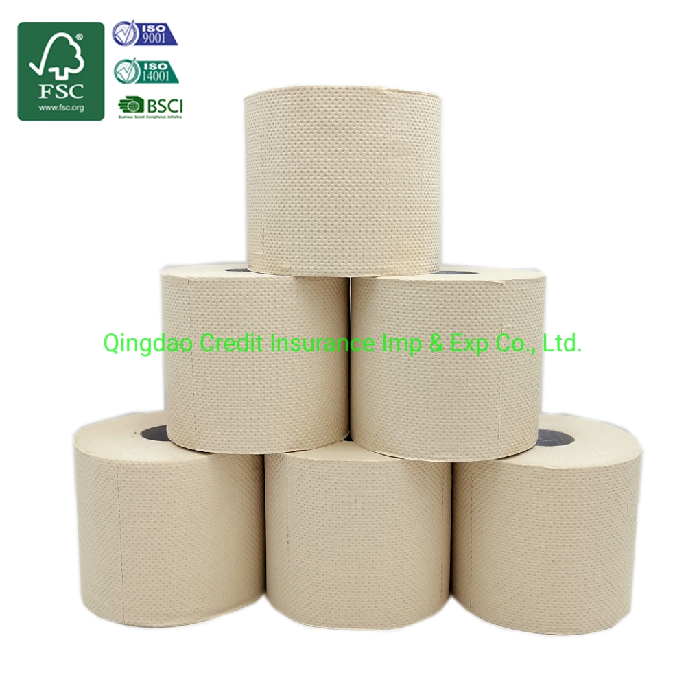Hot Sale China Bamboo Manufacture Best Biodegradable Toilet Paper Coreless Roll