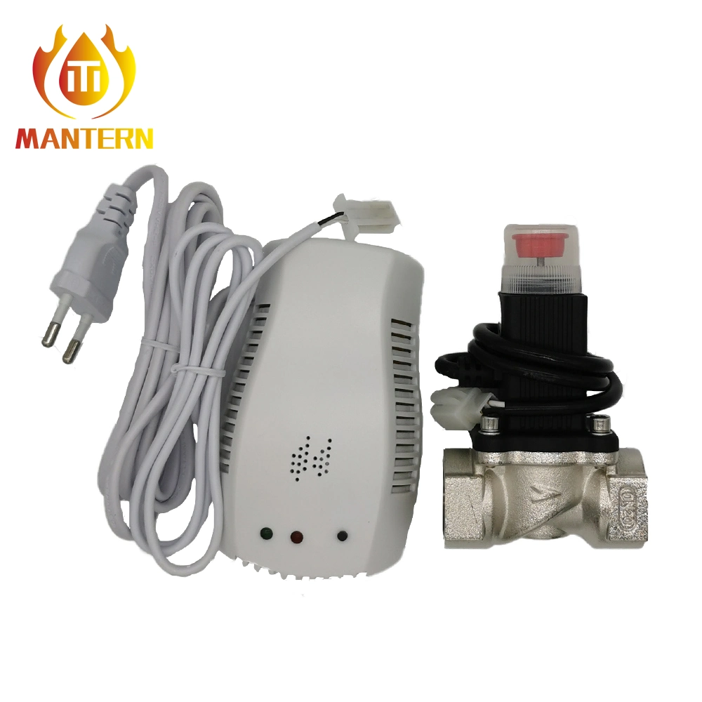 High Quality Wired Gas Detector Alarm with Gas Solenoid Valve