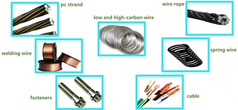 Tungsten Carbide Cold Heading Dies