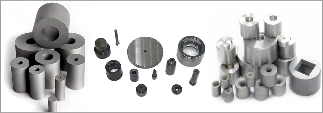 Top Quality Hard Alloy Dies in Different Types