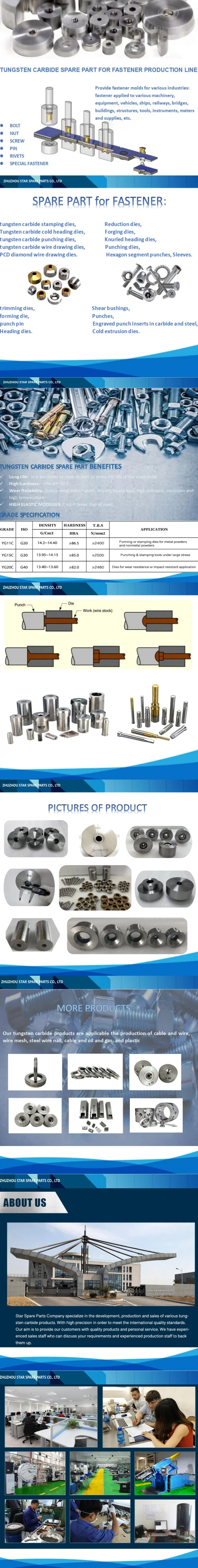 Yg6 Yg8 Tungsten Carbide Cold Heading Die Used in Fasteners Machine