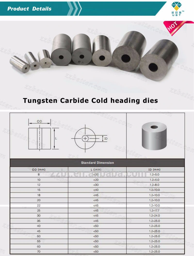 Tungsten Carbide Cold Heading Dies for Screws and Nuts