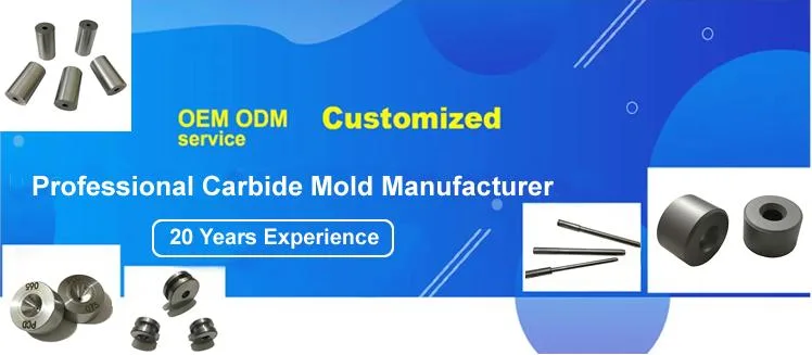 Custom Design Cemented Carbide Cold Carbide Forging Dies/ Screw Mould