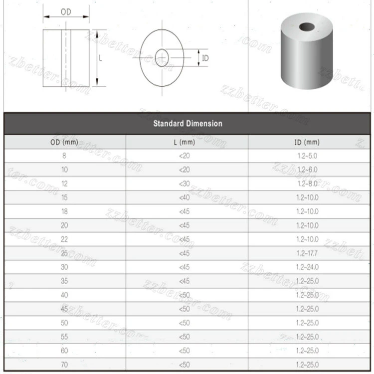 Tungsten Carbide Cold Heading Die Mould for Punching Fastners