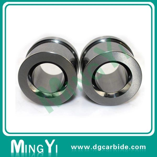 Precision High Quality Hasco Carbide Guide Bushing