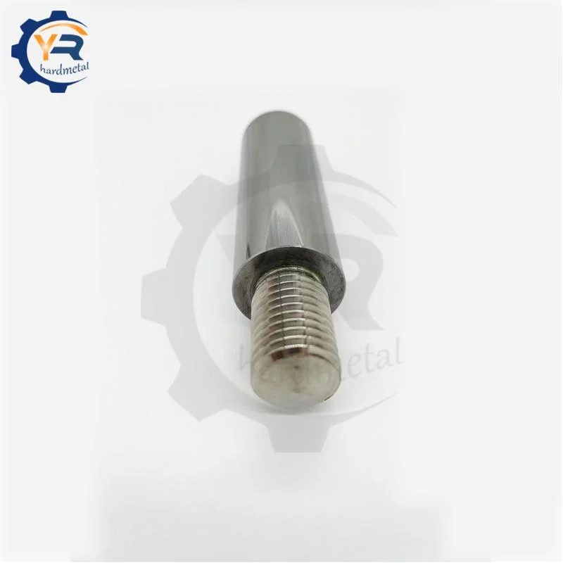 Professional Factory Supply Steel Welding Tungsten Carbide Peg / Carbide Pin for Sand Mill