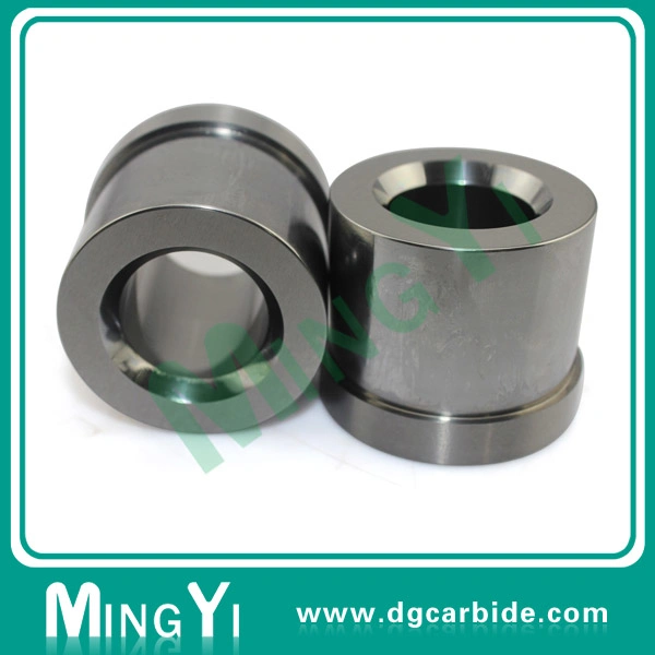 Precision High Quality Hasco Carbide Guide Bushing