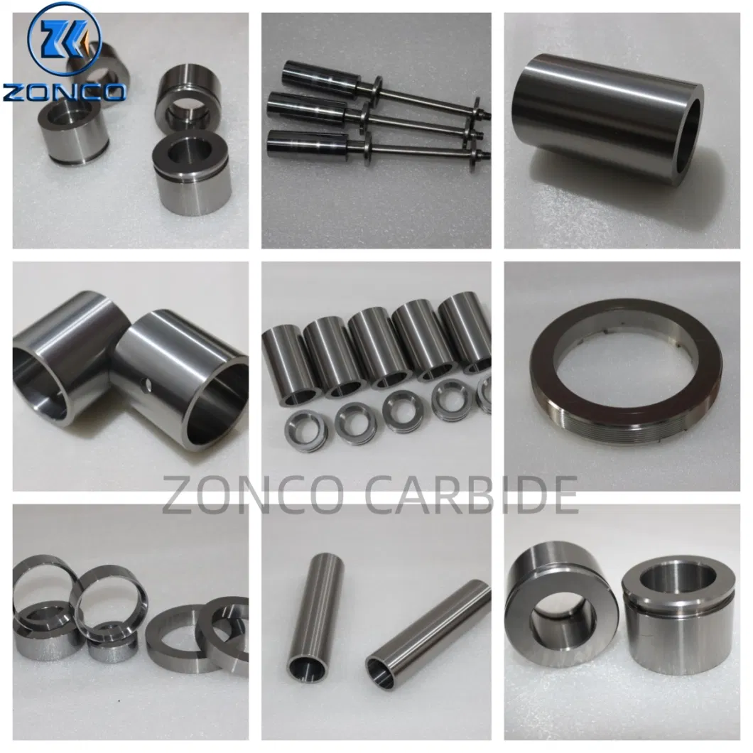 Wear Parts High Hardness and Anti-Abrasion Tungsten Carbide Parts Oilfields