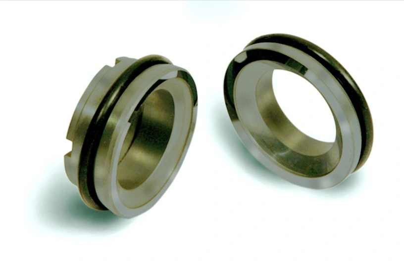 Shrinked or Inserted Tungsten Carbide/Silicon Carbide Seal Rings