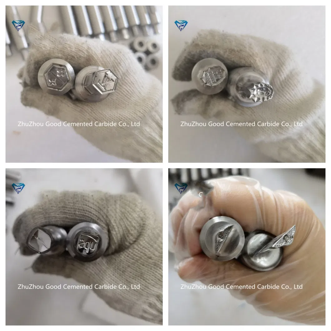 Cemented Carbide Metal Press Mold Tablet Press Mold Zo9 Zp10 Zp12 Zp33 Factory Direct Delivery