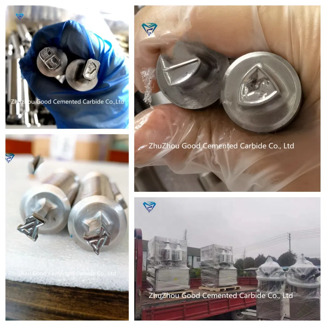 Cemented Carbide Metal Press Mold Tablet Press Mold Zo9 Zp10 Zp12 Zp33 Factory Direct Delivery