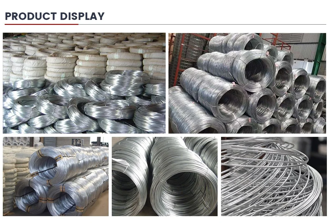 China Manufacturer SAE1006 Wire Hot Rolled Galvanized Steel Wire Rod in Coils for Making Nails