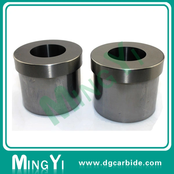 Precision High Quality Hasco Carbide Guide Bushing