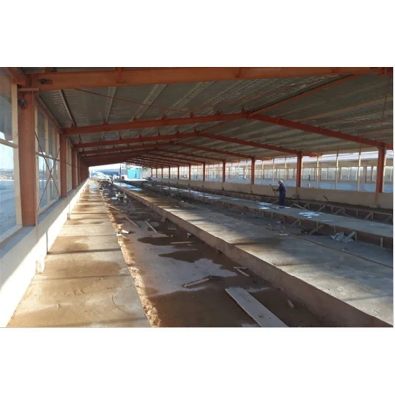 Noiseproof Insulation Chicken Shed Framing Systems Light Steel Frame Sandwich Panel