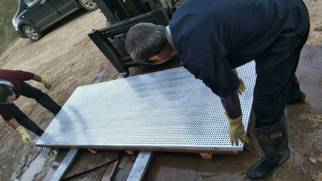 High Quality Galvanized Steel Perforated Metal Sheet (XM-289)