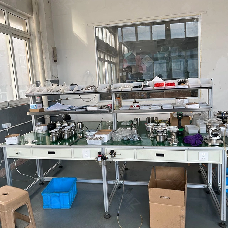 DN20 China Stainless Steel SS316L Actuator Pneumatic Diaphragm Valves