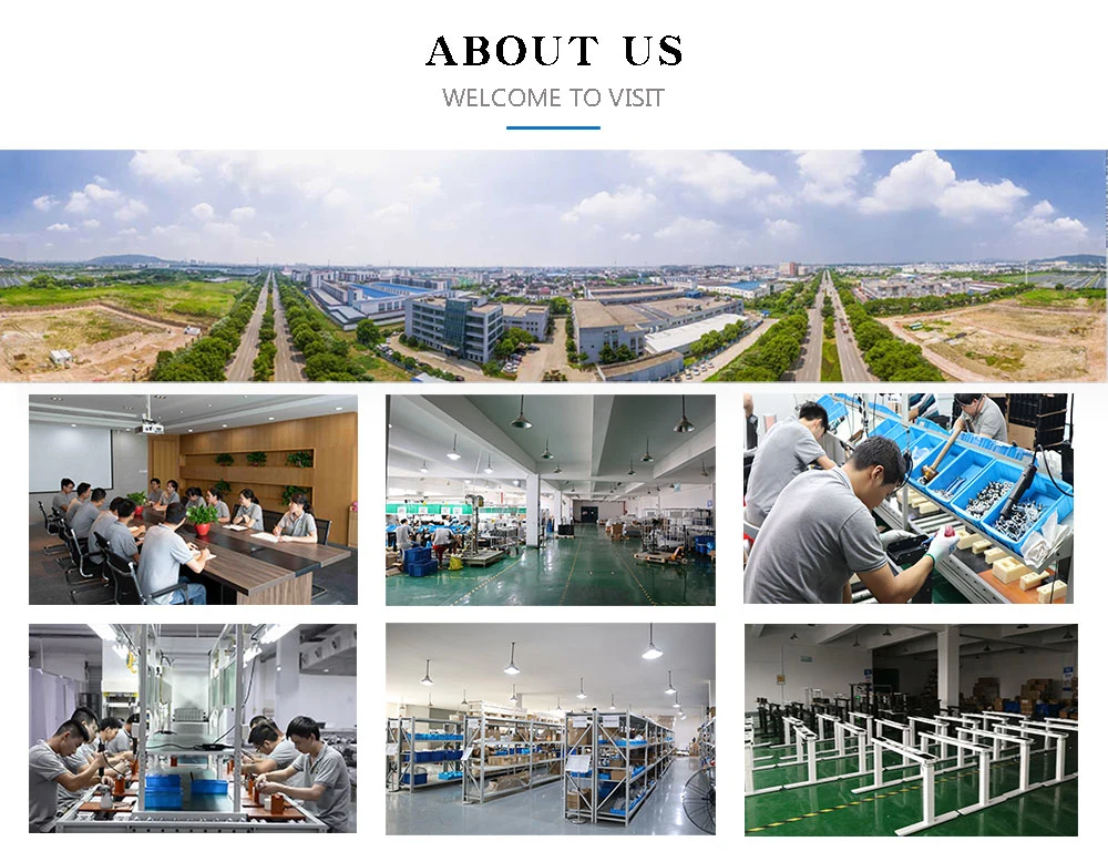 Precision Motorized Waterproof Electric Industrial Linear Actuator