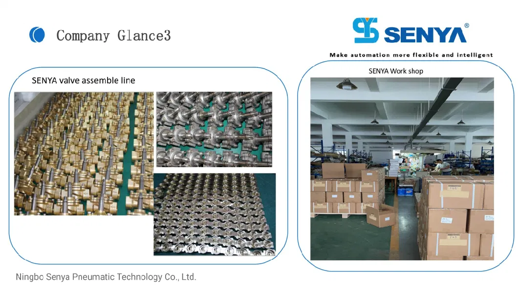 Senya Pneumatic Chinese Leading Brand Supplier Advanced High Efficiency 2wh Series Flow Control Application 2/2 Ways High Pressure Solenoid Valve