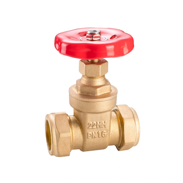 Hot Sale 1" Bsp Thread Electric 2-Way Brass Motorized Globe Valve