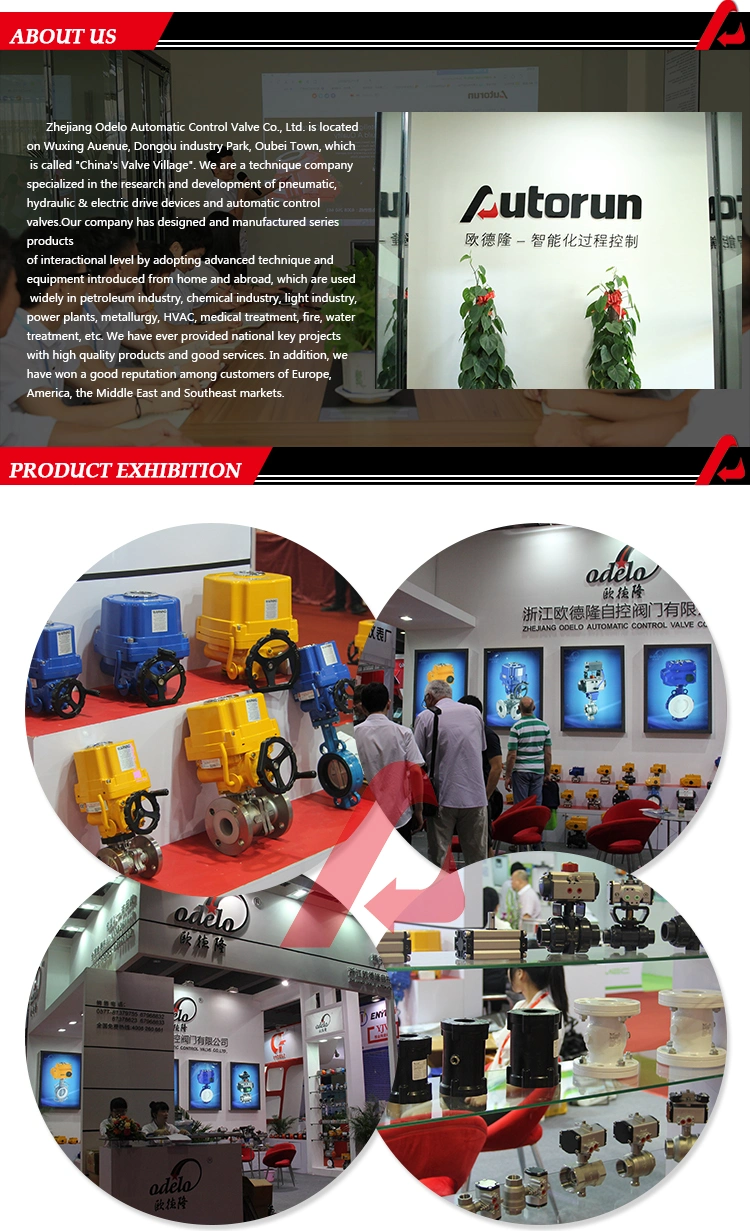 Zhejiang Manufacture Explosion Proof Electric Actuator