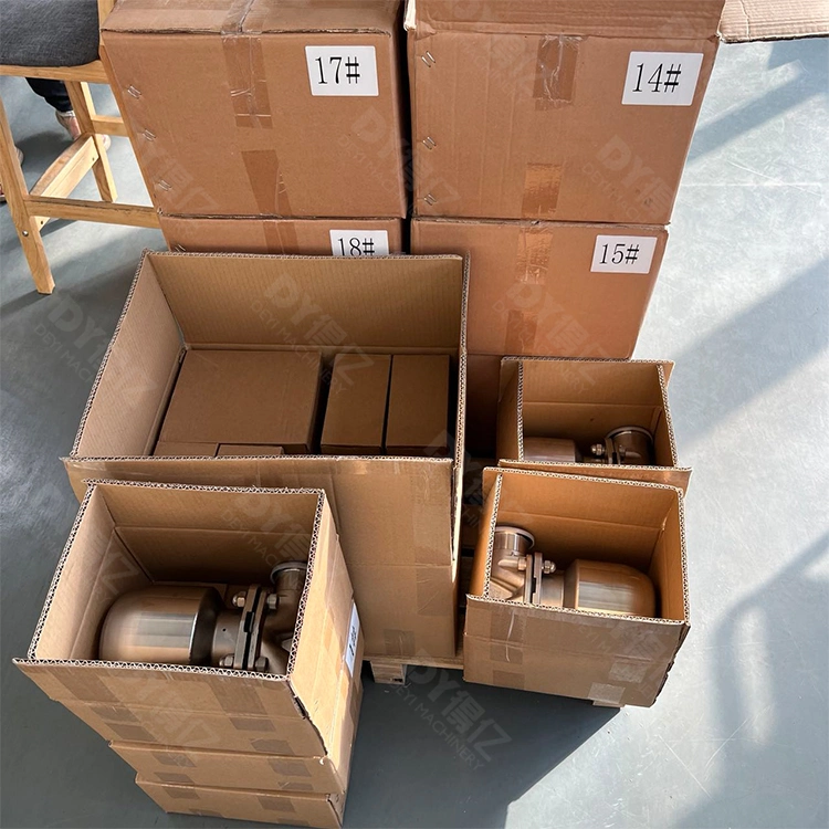 DN20 China Stainless Steel SS316L Actuator Pneumatic Diaphragm Valves