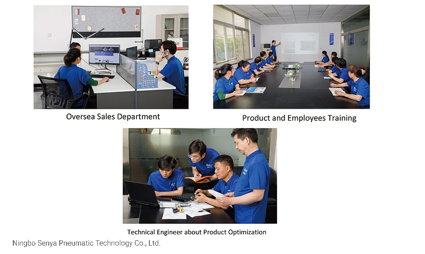Senya Pneumatic Chinese Leading Brand Supplier Advanced High Efficiency 2wh Series Flow Control Application 2/2 Ways High Pressure Solenoid Valve