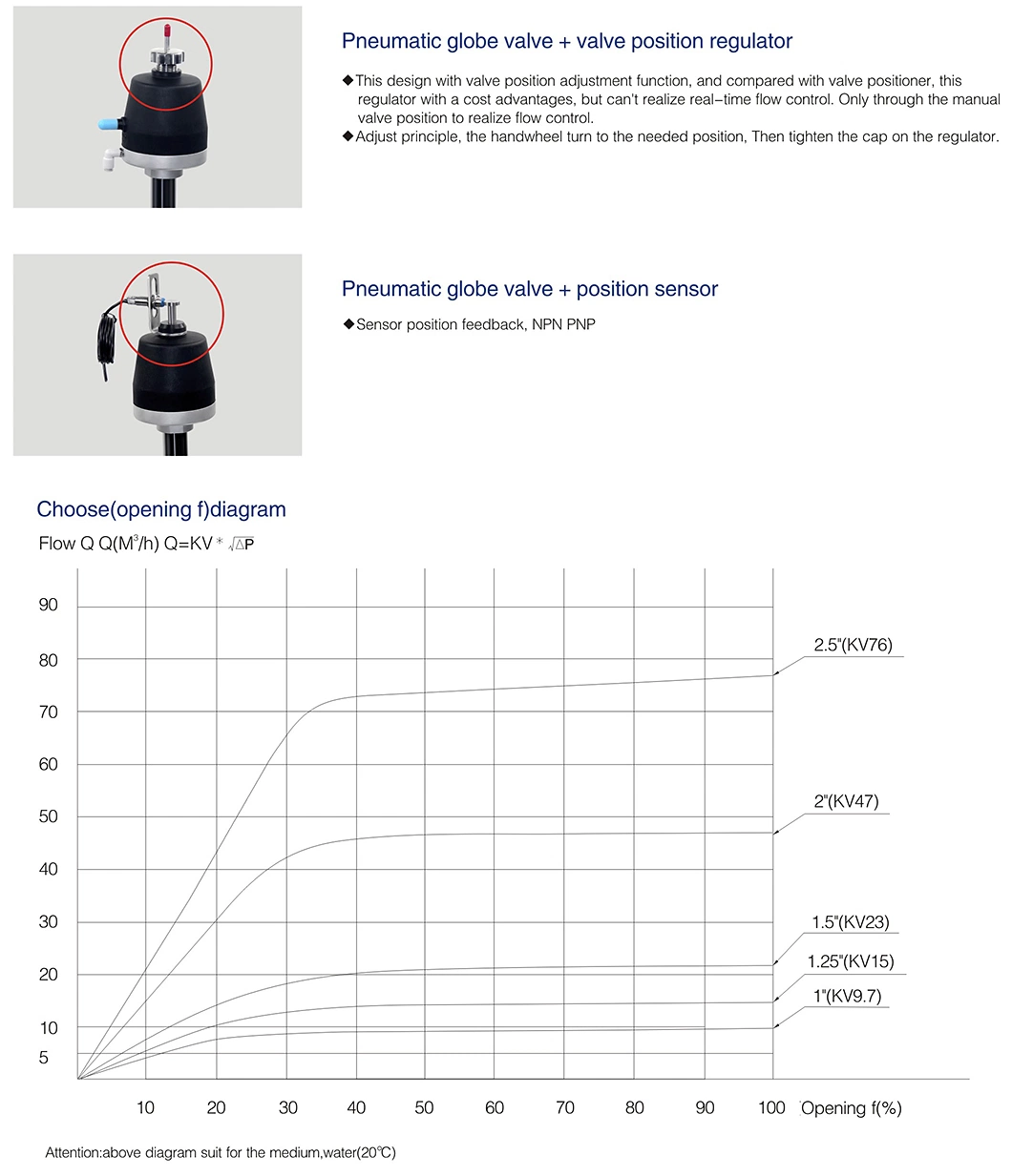 Donjoy Pneumatic Globe Valve with Control Top