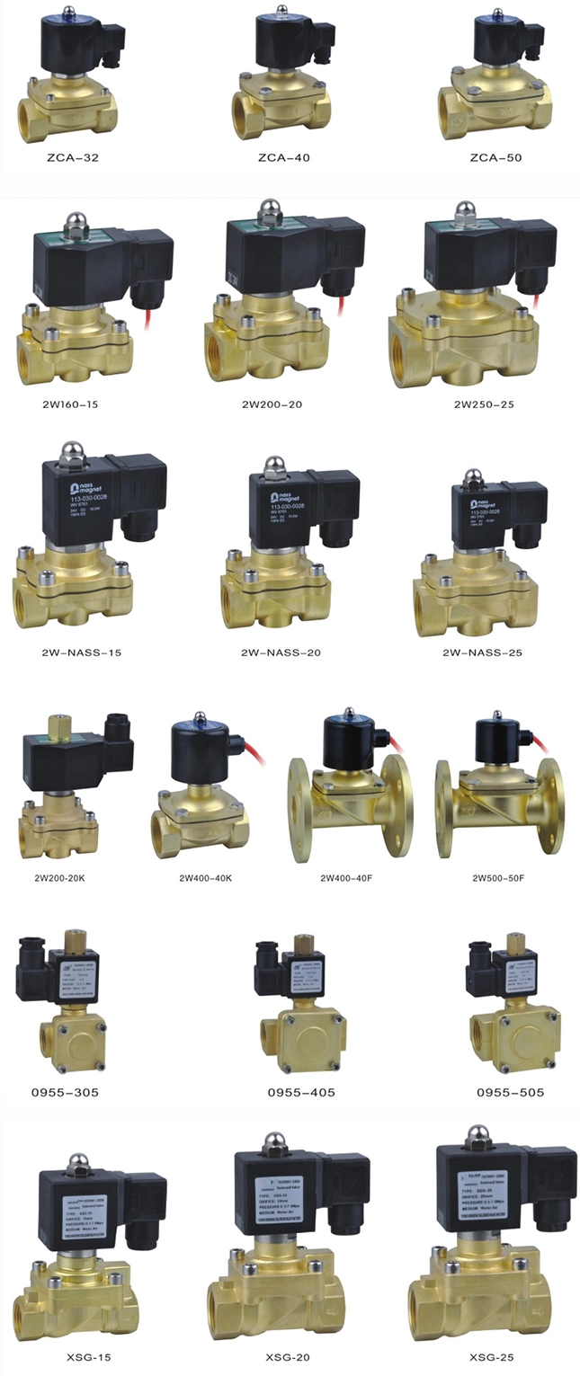 2/2-Way Brass Medical Miniature Proportional Control Air Solenoid Valve 12V High Flow for Ventilator Use