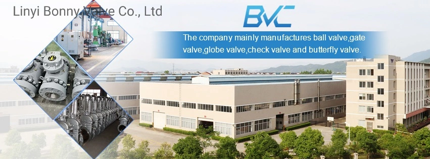 Price DN50/80/100 12V 24V DC 24V 110V 220V AC Flange Water Flow Control Rotary Float Electric Motorized Actuator Ball Valve