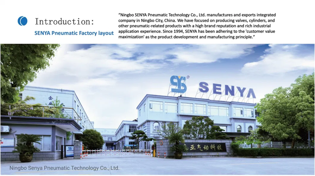Senya Pneumatic Chinese Leading Brand Supplier Advanced High Efficiency 2wh Series Flow Control Application 2/2 Ways High Pressure Solenoid Valve