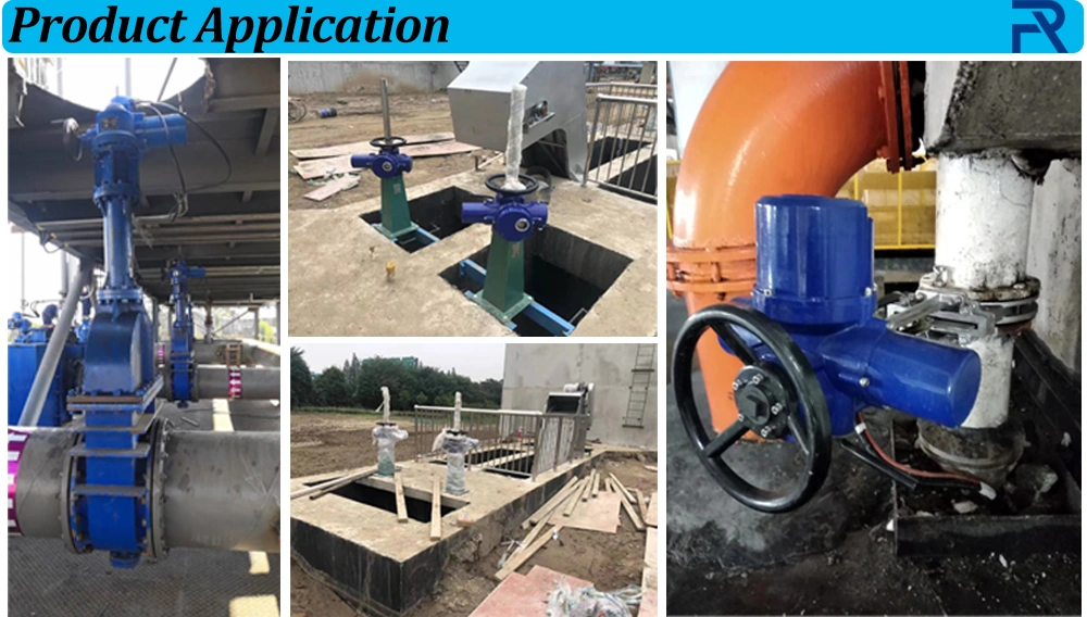Multi Turn Electric Actuator Motorized Water Gate Valve Dzw20 Dzw30