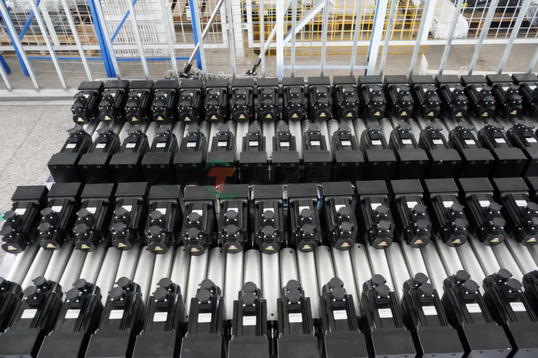 High Quality Linear Servo Actuator Servo Electric Cylinderty Tysc095