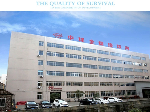 Hot Sale Hand Lever/Gear Actuated Carbon Steel Plastic Sealing Welded Strainer Ball Valve