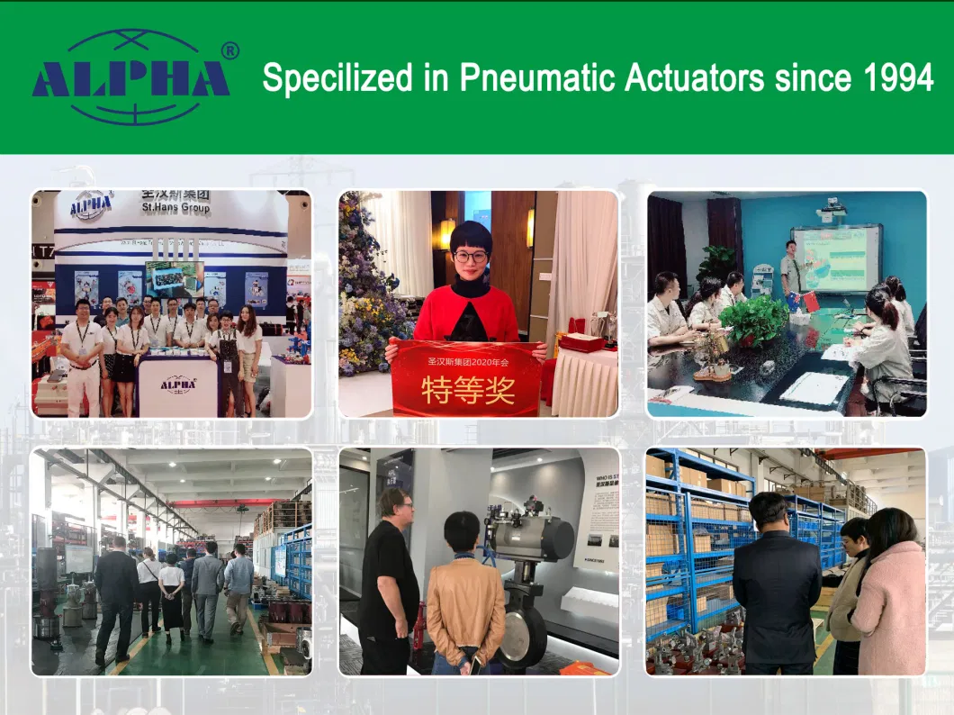 CE/ SGS/ ISO9001 Alpha C Series Rt075r10 Rack and Pinion Pneumatic Actuator for Buttery Valve or Ball Valve