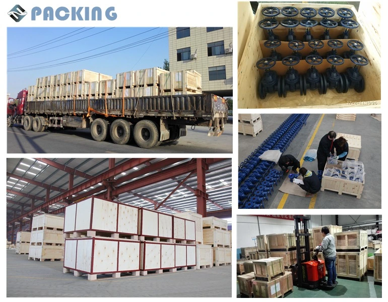 Intelligent Wireless Type Electric Actuator for Butterfly Valve China Manufacturer