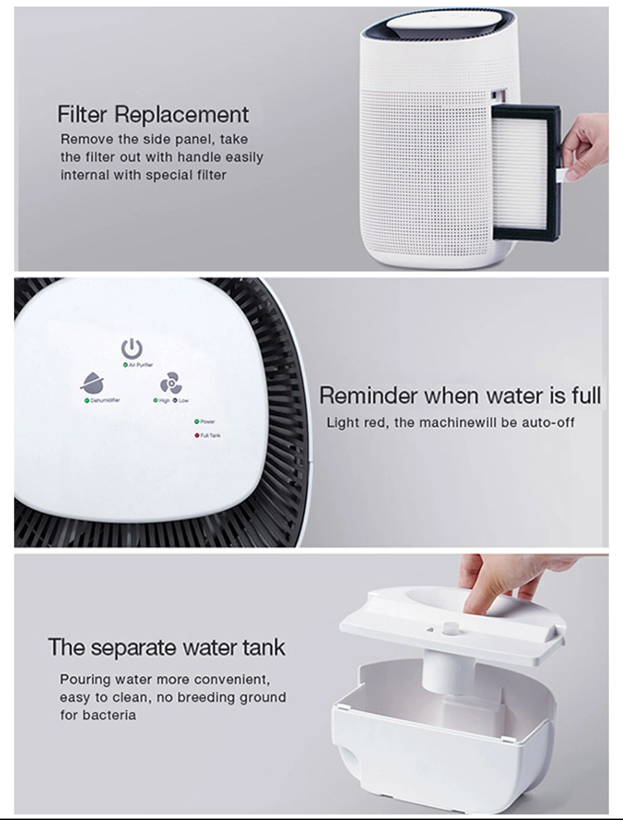 Guangdong 1000ml Air Purifier Dehumidifiers 220V Portable Domestic Dehumidifier for Home