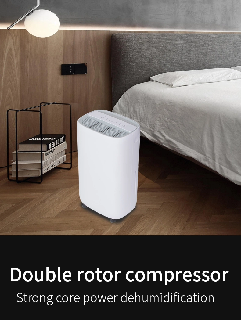 Hot Selling 10L Capacity Compressor Dehumidification Technology Air Dehumidifier