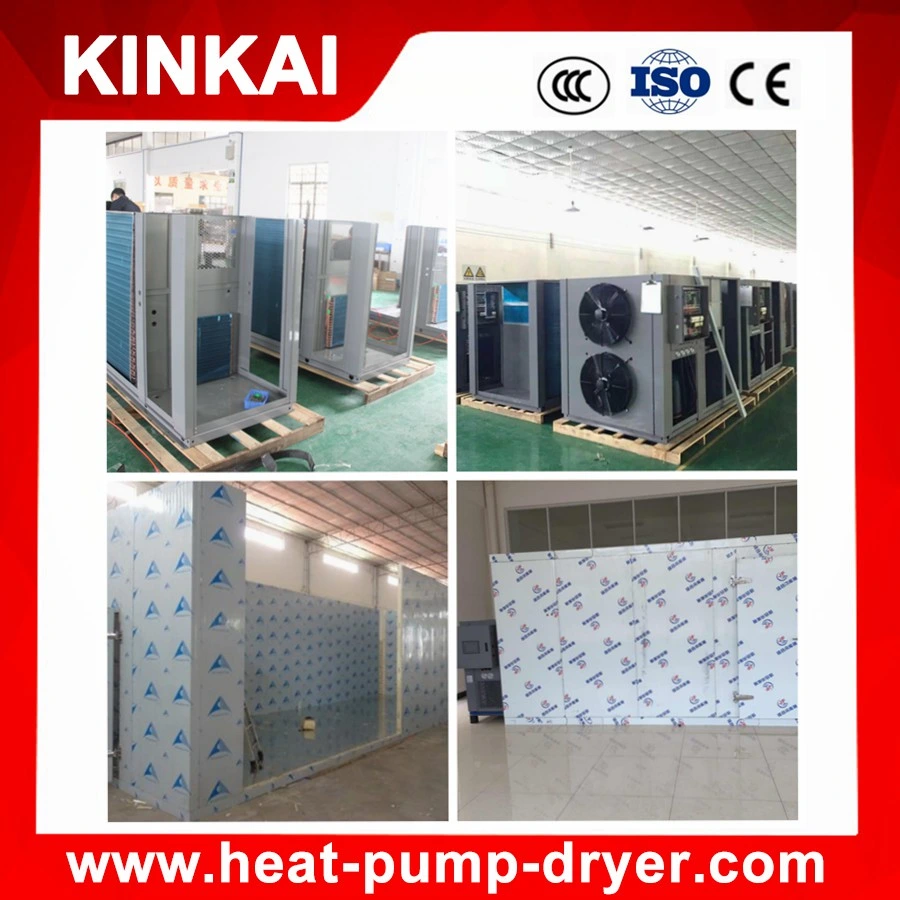 Star Fruit Heat Pump Dehumidifier Dryer